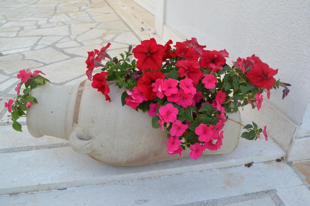 Apartments Oklopcic Trogir Exterior photo